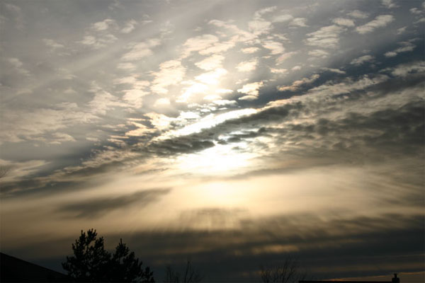 Photo for March 11, 2004
