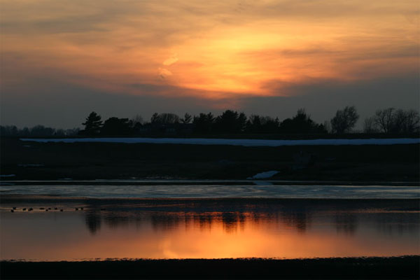 Photo for March 3, 2004