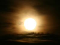 Wallpaper Image 5